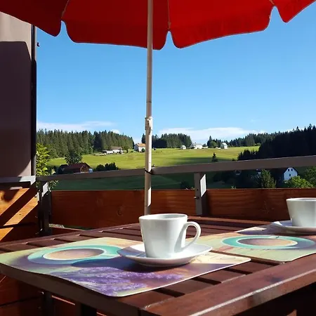 Apartment Lucia, App.11 Schoenwald im Schwarzwald