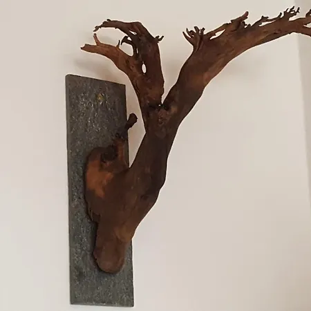 Lucia, App.11 Schönwalde